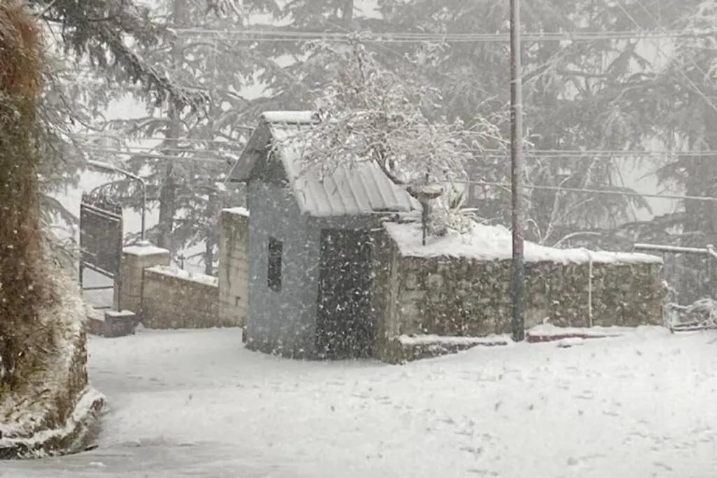 Inner Peace Retreat Simla Apartment Shimla